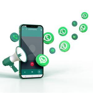 Voice Call Services