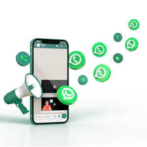 Send introductory video on WhatsApp